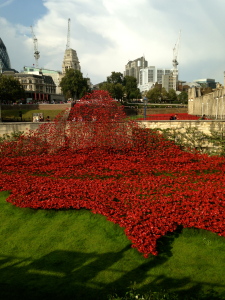 these are the World War II poppies surrounding the Tower of London. they are in remembrance of the lives that were lost- they are ceramic and beautiful. I will post a picture in November when the exhibit is complete!