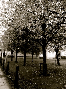 Fall in Dublin