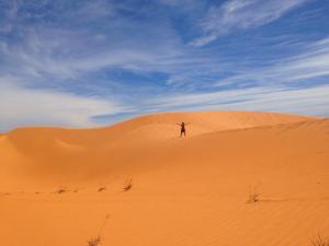 famous sand dunes of Mui Ne, Vietnam!