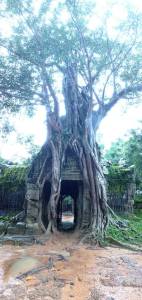 my favorite temple in Siem Reap, Cambodia!
