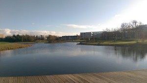 IMAG0546