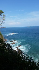 Ahhh what a view of the ocean from a forest hiking trail!