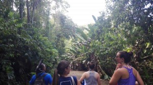 This is me, and my friends in AIFS walking through the Rain Forest at Manuel Antonio!