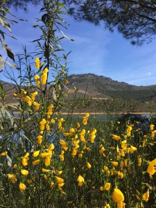 Hike through the Spanish sierras