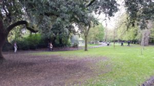 Stephen's Green