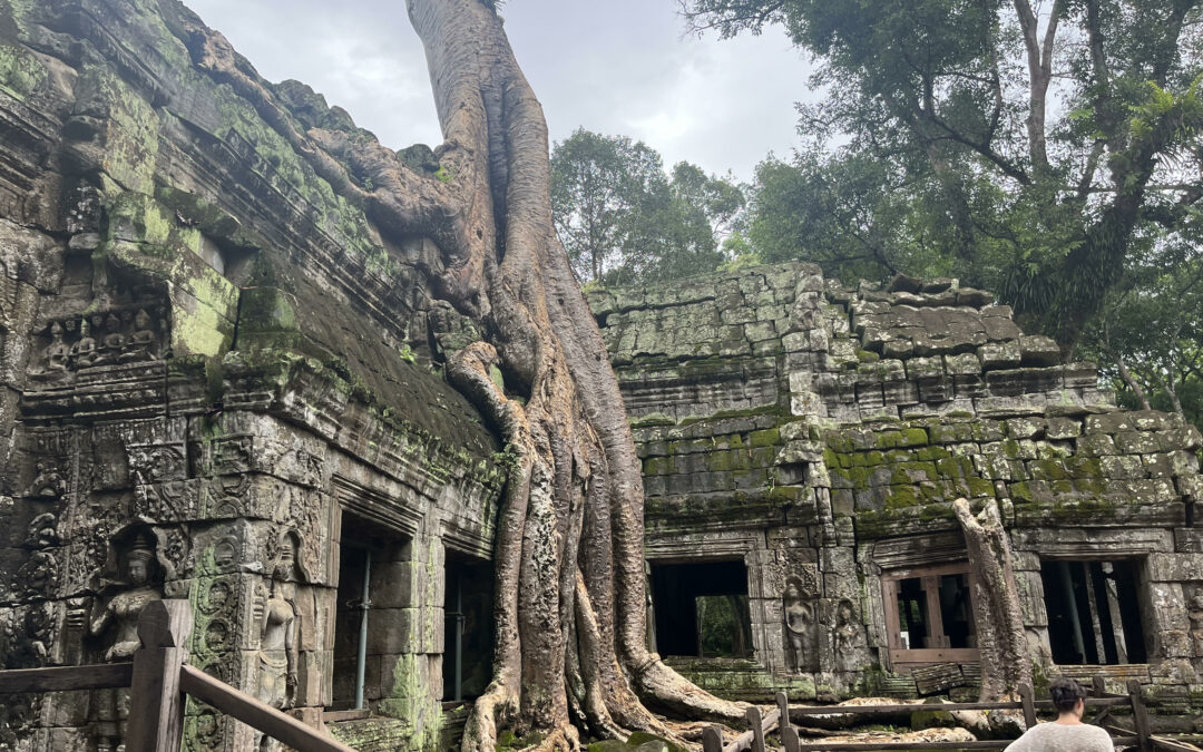 Post-Cambodia Reflections – Making the Most of Your Time Abroad