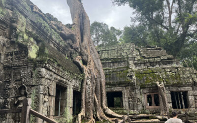 Post-Cambodia Reflections – Making the Most of Your Time Abroad
