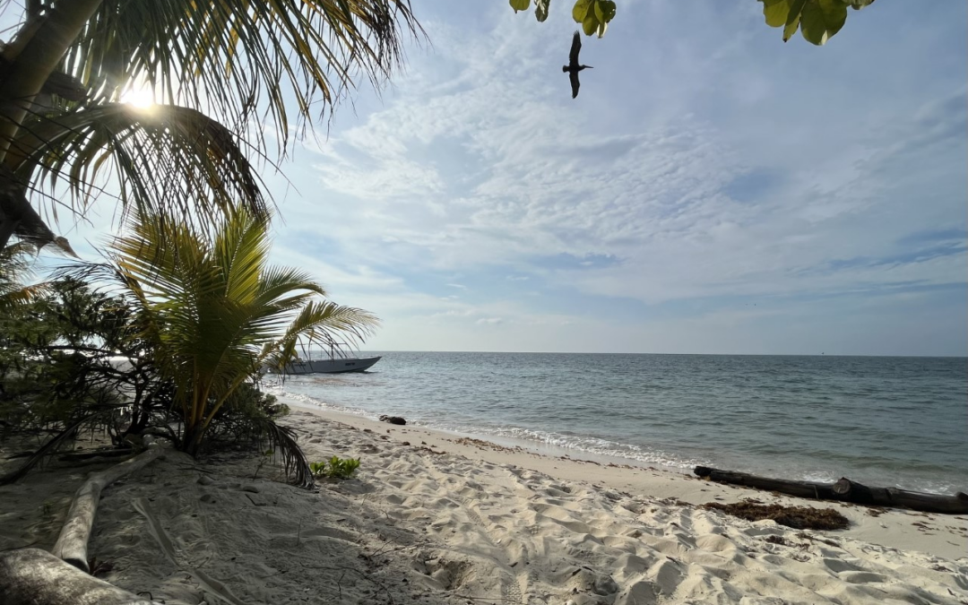 Lime Caye Reflection