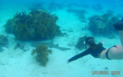 Who Wouldn’t LOVE This Belizean Life??