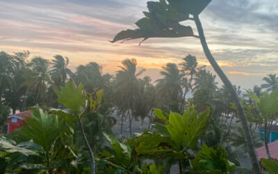 Take Me Back To Belize!
