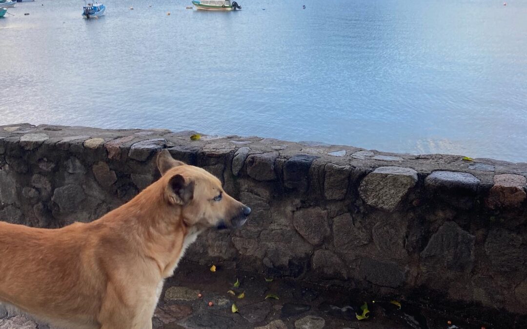 Lago de Atitlán