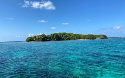 Blog 2: Belize