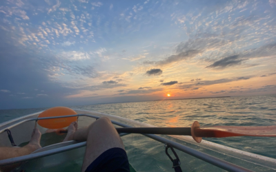 Blog 3: Belize