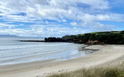 Fun in New Zealand!