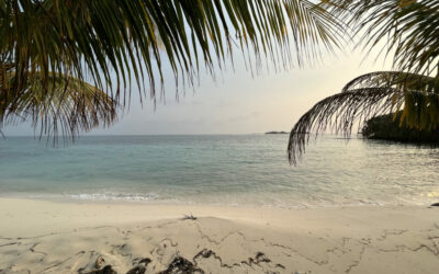 It’s been a wild ride in Belize so far…