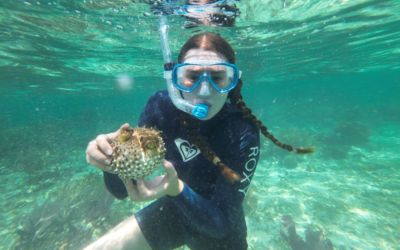 Living and Snorkeling on a Remote Island: Lime Caye Adventures
