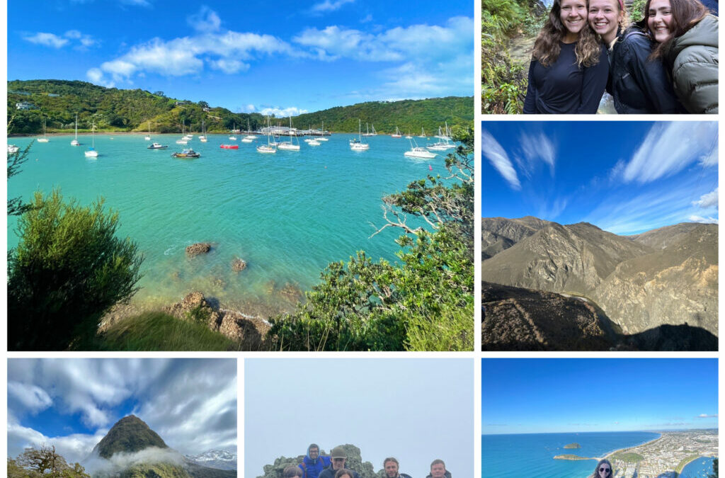 Over The River And Through The Woods : Hiking Adventures In New Zealand