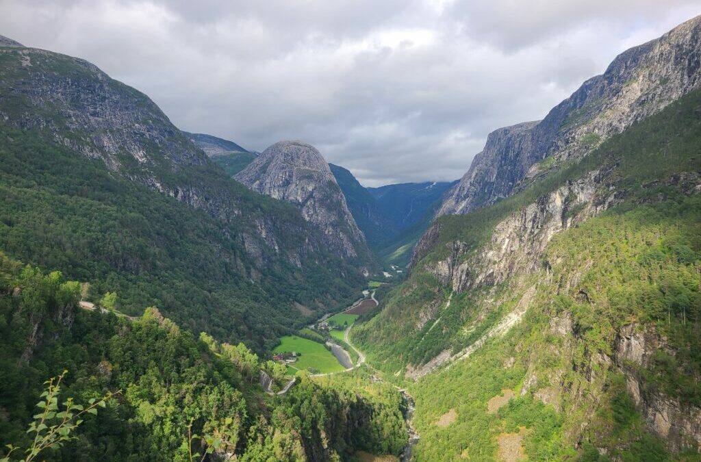 Self Reflecting in Flam