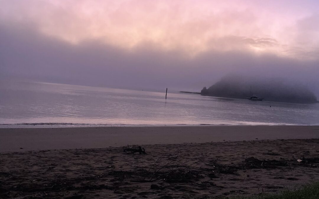 A note on my sporadic thoughts and fun times in New Zealand!