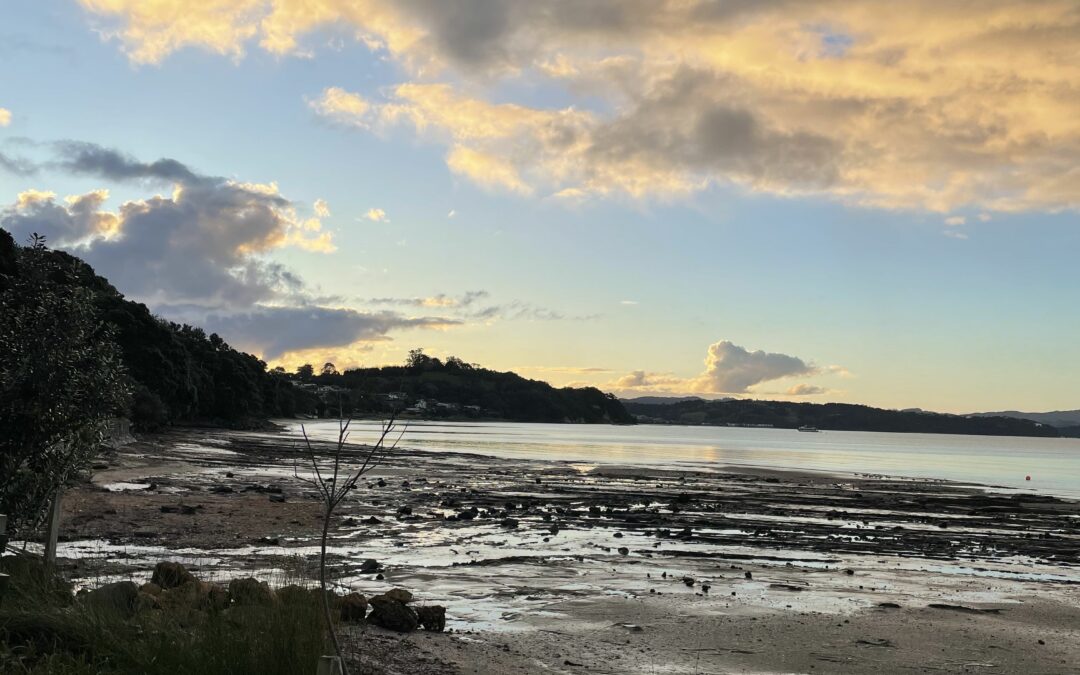 A love Letter to Snells Beach, New Zealand: