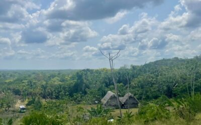 Adventures in Belize: Post-trip reflections