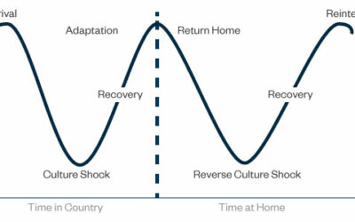 The Chart of Emotions during Study Abroad