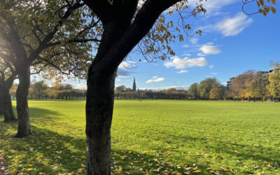 Honest Conversations in the Scottish Autumn