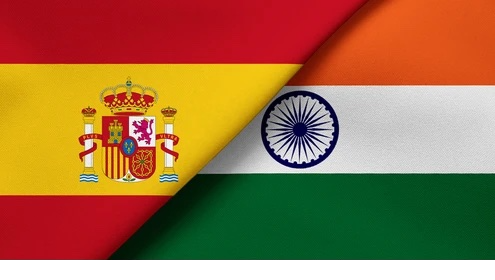 The Year of the Expat: Experiences in Spain vs. India