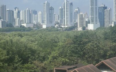 Embracing Panama: Exploring Cultures and Businesses