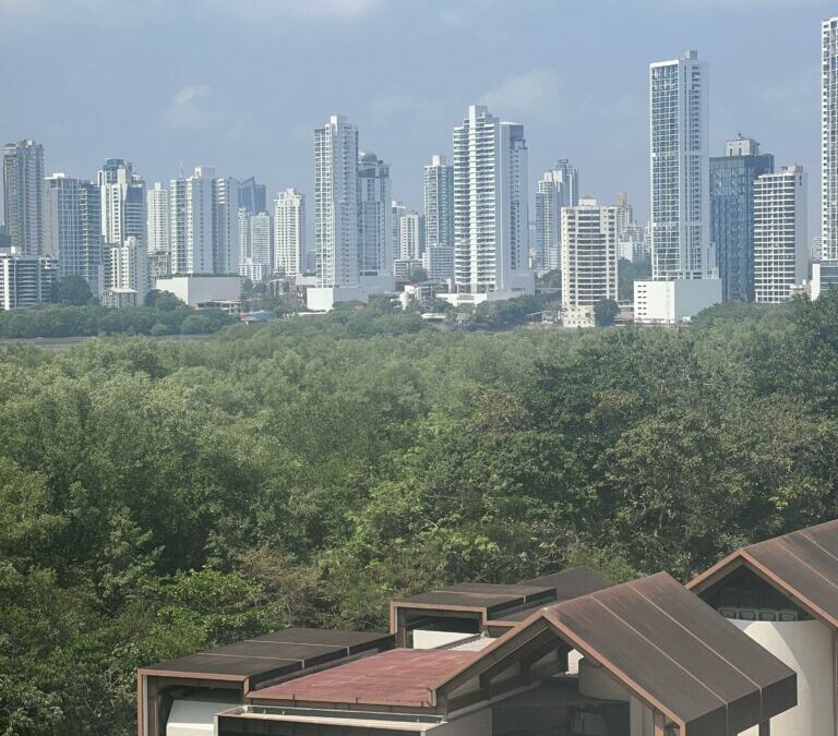 Embracing Panama: Exploring Cultures and Businesses