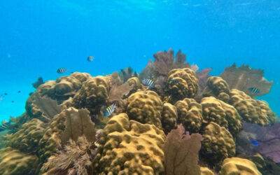 First Impressions of Belize