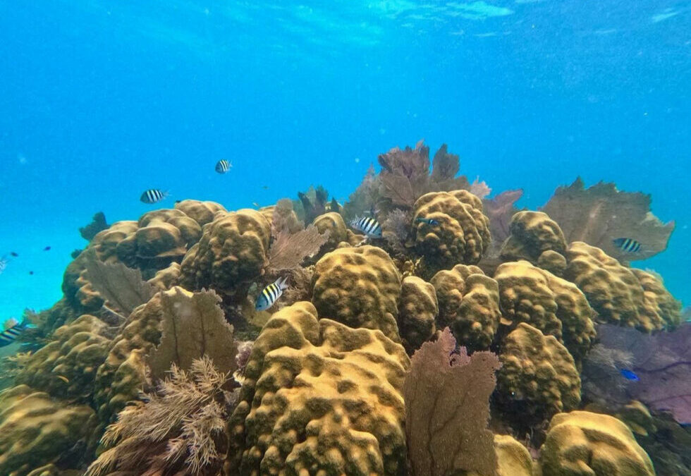 First Impressions of Belize