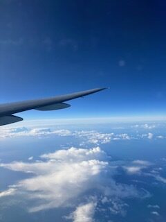 Goodbye Seoul