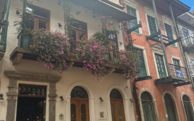 A Culinary Adventure in Panama