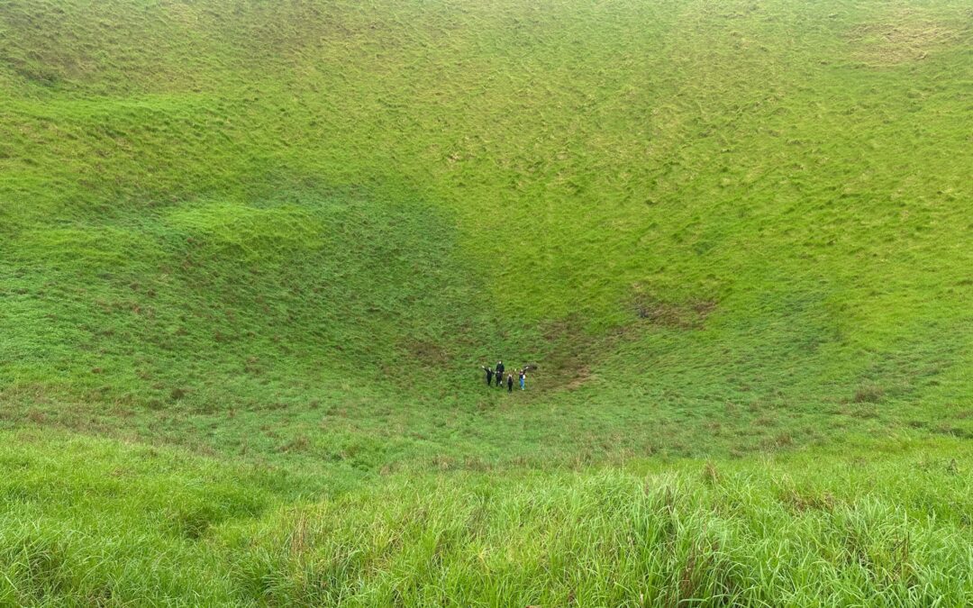 First Impressions of New Zealand