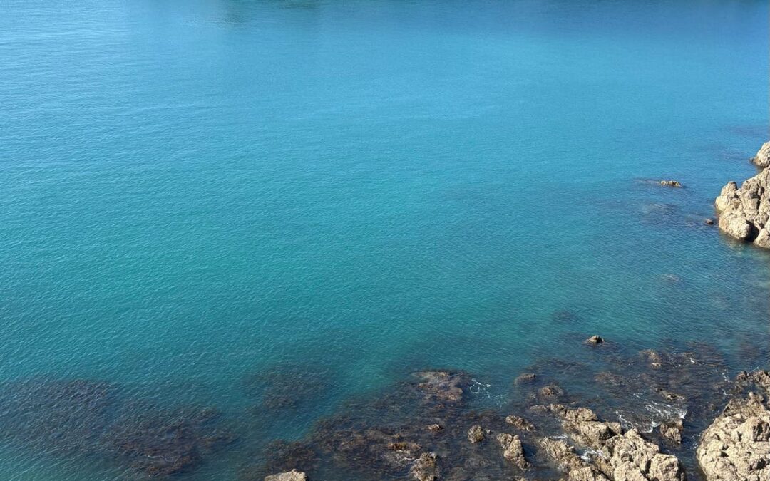 Mid-trip Update: May in New Zealand!