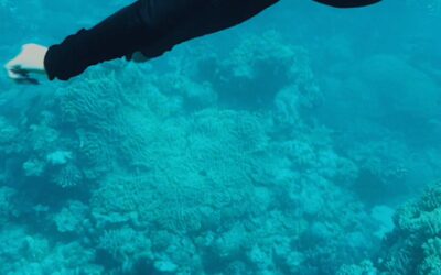 The Reef, The Ray, and The Responsibility (Cairns, AUS)