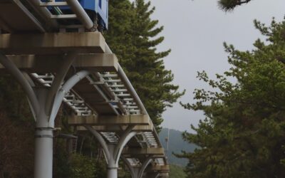 Classes, City Life, and Weekend Trips