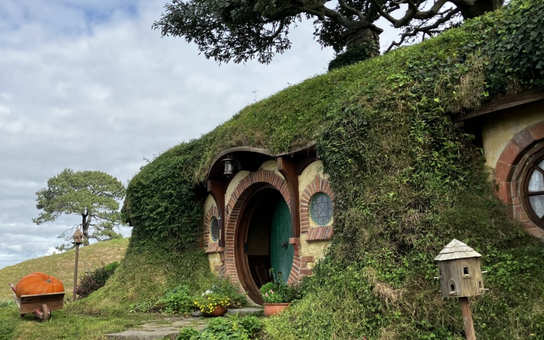 New Adventures in New Zealand!