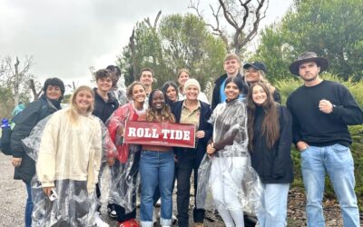 Post-Southern Hemisphere