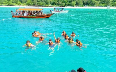 Swimming with Sea Turtles!