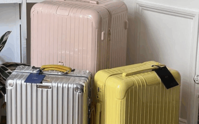 The Global Field of Fashion