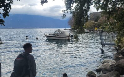 That Feeling of Regret