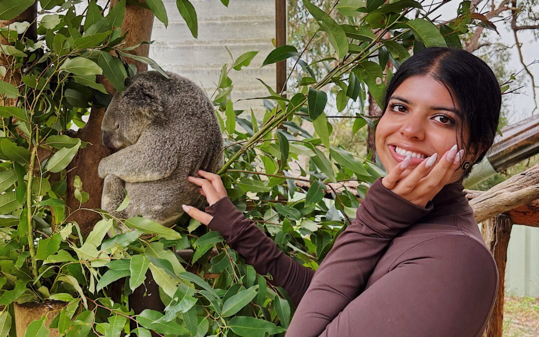 Meet Arnold the Koala and Gundy the Blind Wombat (Sydney, AUS)