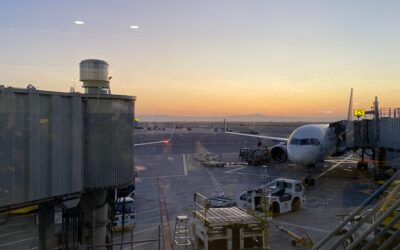 Home Abound: Adjusting Back to Normalcy