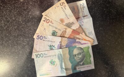 Wait… How Much Is That? A Students Guide to Pesos