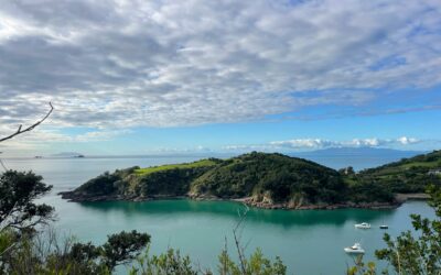 Adventures in Auckland!