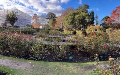 Fun in Christchurch, NZ!