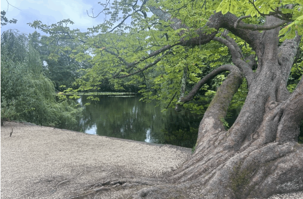 Discovering the Natural Beauty of Oxford, England