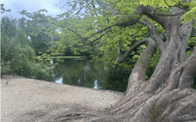 Discovering the Natural Beauty of Oxford, England